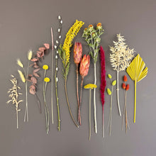 Autumnal Dried Flowers
