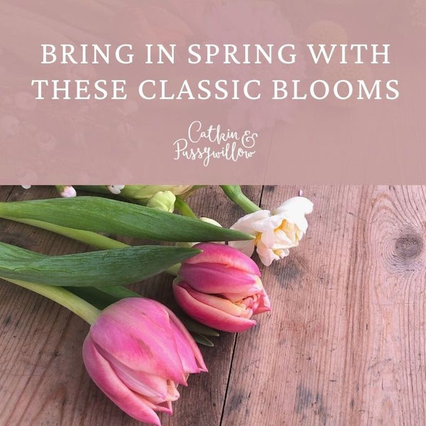 Bring In Spring With These Classic Blooms
