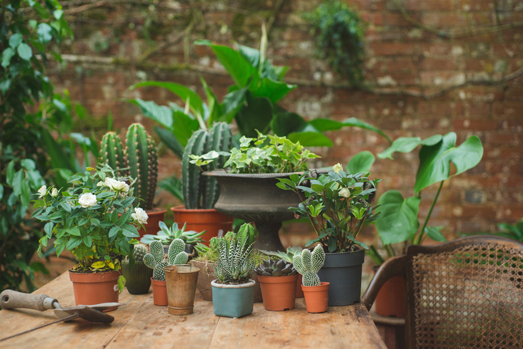 Our Secret Garden Photoshoot