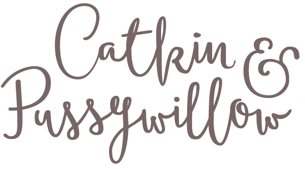 Catkin &amp; Pussywillow