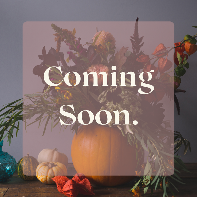 Pumpkin Arrangement Workshop