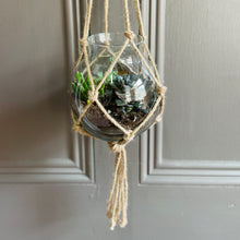 Large macrame hanging Glass Terrarium