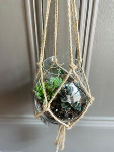 Large macrame hanging Glass Terrarium