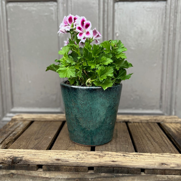 Small summer planter