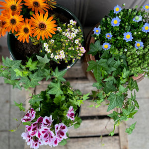 Small summer planter