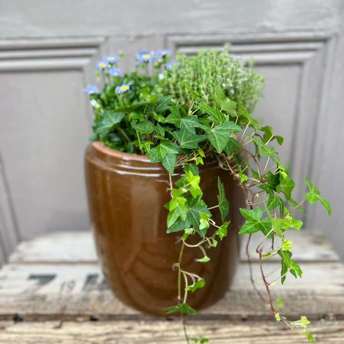Large Summer Planter