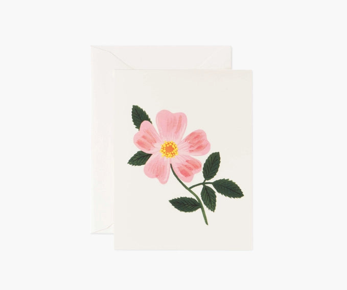 Wild Prairie Rose