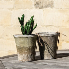 Antiqued Whitestone Cactus Pot