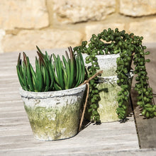 Antiqued Whitestone Cactus Pot