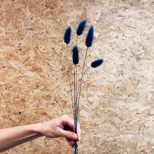 Bunny Tails Blue