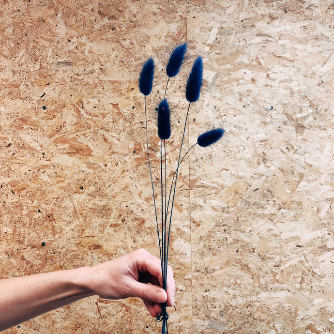 Bunny Tails Blue