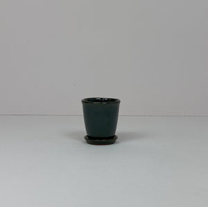 Mini Pot & Saucer Green