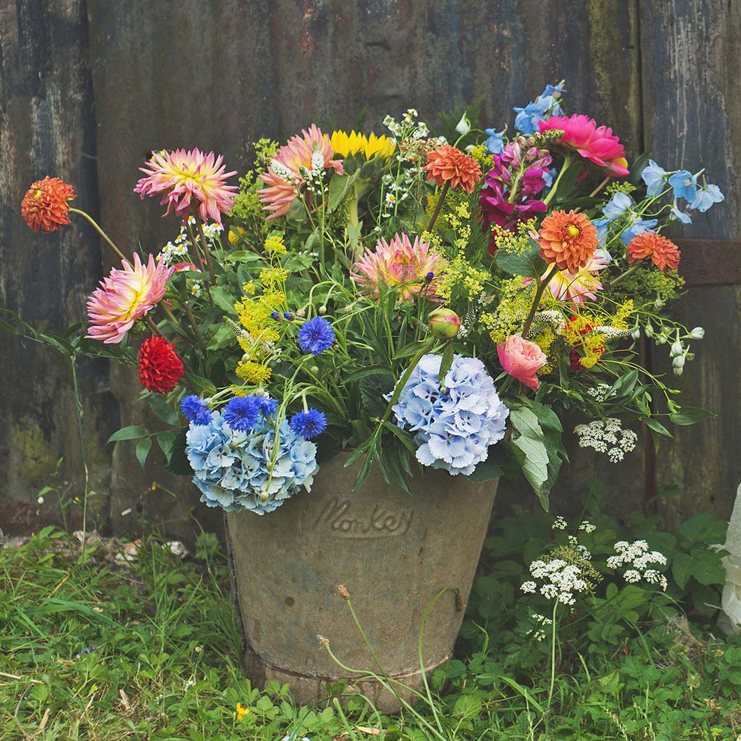 Festival Bucket of Blooms