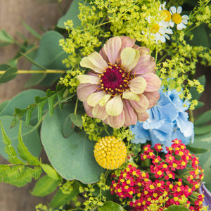 Celebration in Colour Heart Wreath