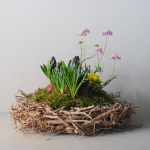 Large Planted Spring Nest Basket