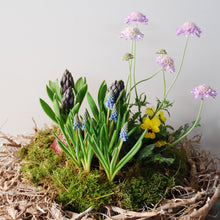 Large Planted Spring Nest Basket