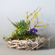 Medium Spring Nest Basket