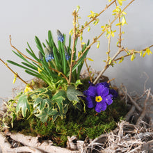 Medium Spring Nest Basket