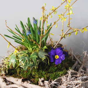 Medium Spring Nest Basket