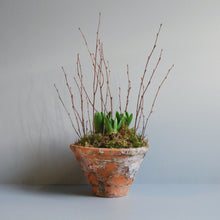 Hyacinth Pot