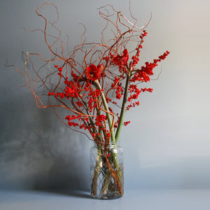 Red Amaryllis Vase