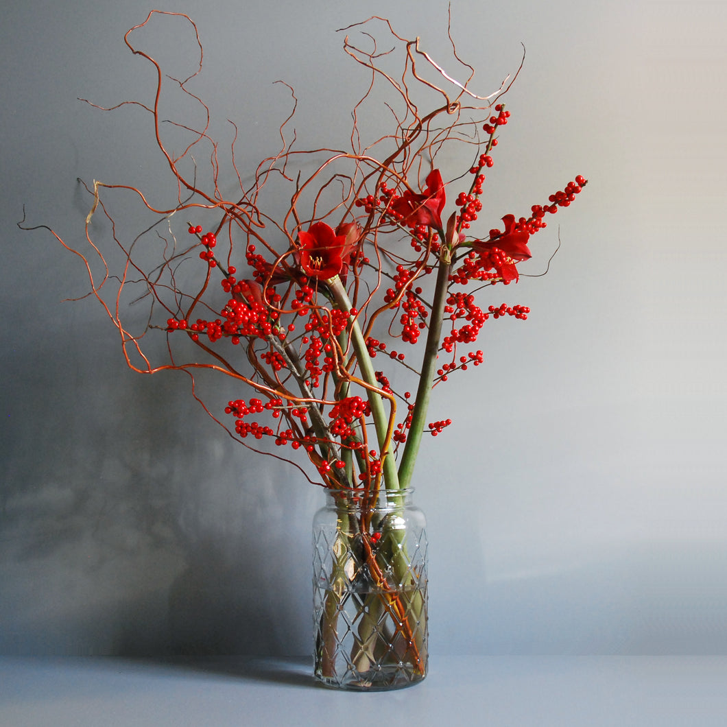 Red Amaryllis Vase