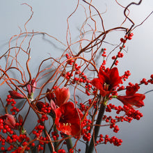 Red Amaryllis Vase