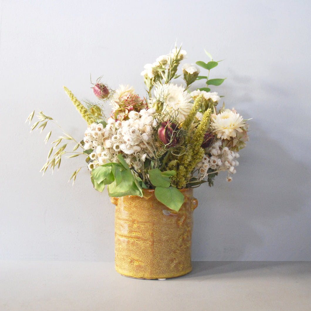 Small Everlasting White Flowers Pot