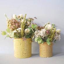 Small Everlasting White Flowers Pot