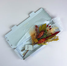 Dried Letter Box Stems