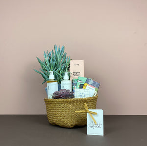 Catkin & Pussywillow Gift Belly Basket (M)