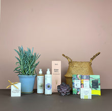 Catkin & Pussywillow Gift Belly Basket (M)