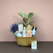 The Catkin & Pussywillow Gift Belly Basket (L)