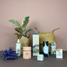 The Catkin & Pussywillow Gift Belly Basket (L)
