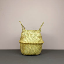 The Catkin & Pussywillow Gift Belly Basket (L)