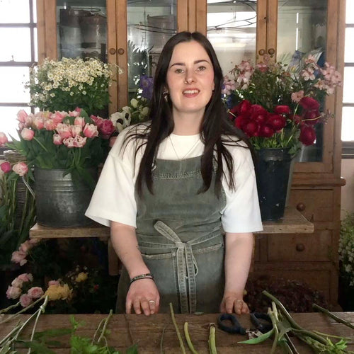 Home Flower School Lesson 1: Rainbows
