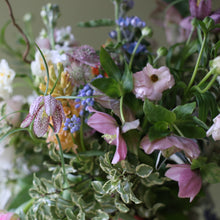 Stepping into Spring