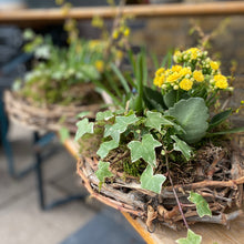 Large Planted Spring Nest Basket