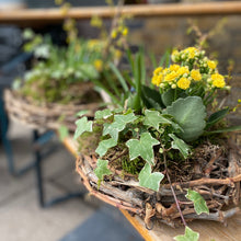 Small Planted Spring Nest Basket