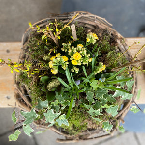 Medium Planted Spring Nest Basket