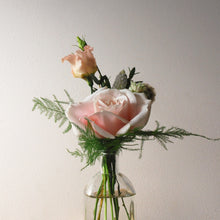 Meadow Flowers in Bottles & Jars