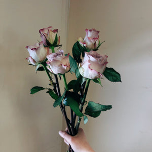 Memory Lane Roses