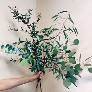 Mixed Foliage Bunch