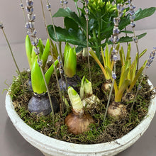 Large Potted Spring Planter