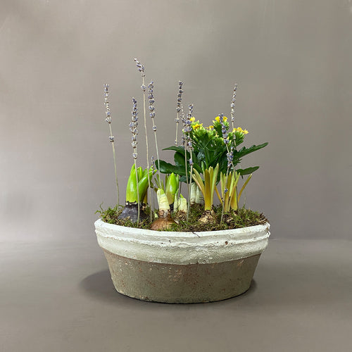 Large Potted Spring Planter