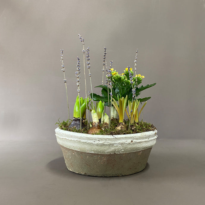 Large Potted Spring Planter