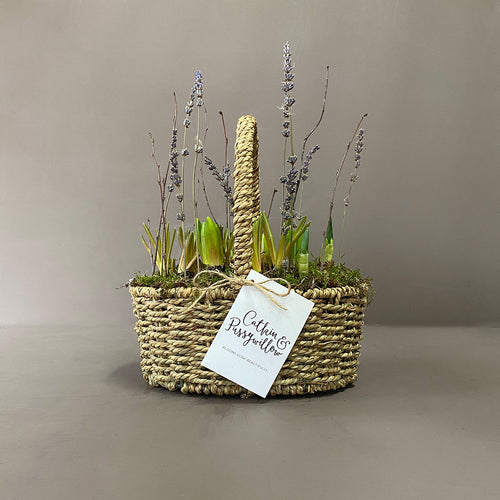 Medium Planted Spring Basket