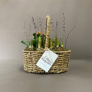 Large Planted Spring Basket