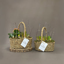 Medium Planted Spring Basket
