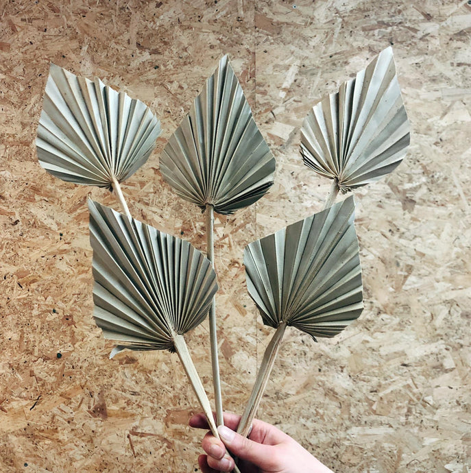 Palm Spear Natural